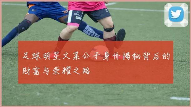 足球明星文莱公子身价揭秘背后的财富与荣耀之路