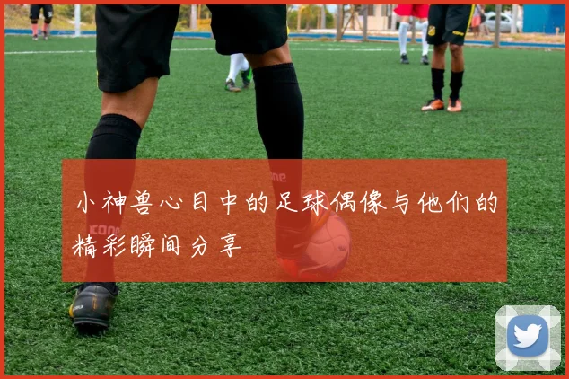 小神兽心目中的足球偶像与他们的精彩瞬间分享