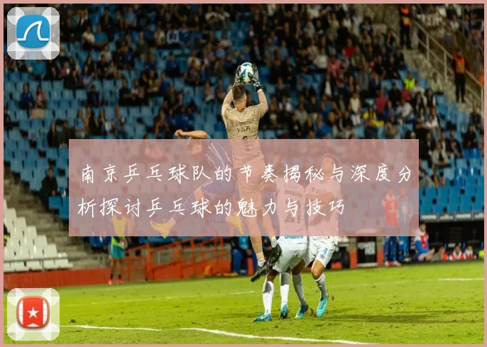 南京乒乓球队的节奏揭秘与深度分析探讨乒乓球的魅力与技巧