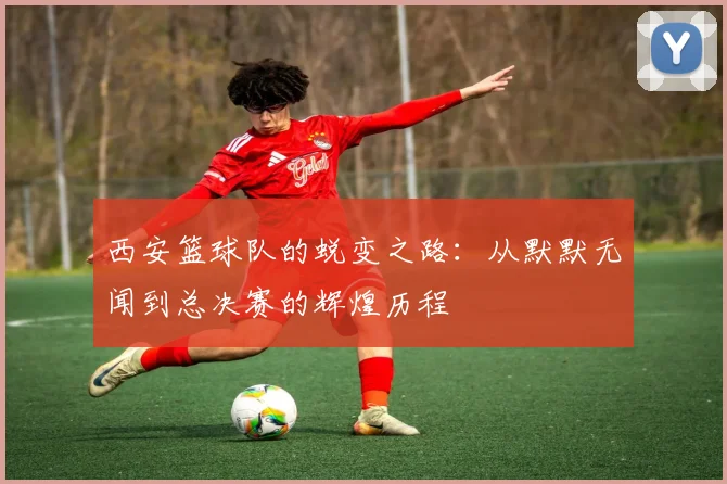 西安篮球队的蜕变之路：从默默无闻到总决赛的辉煌历程