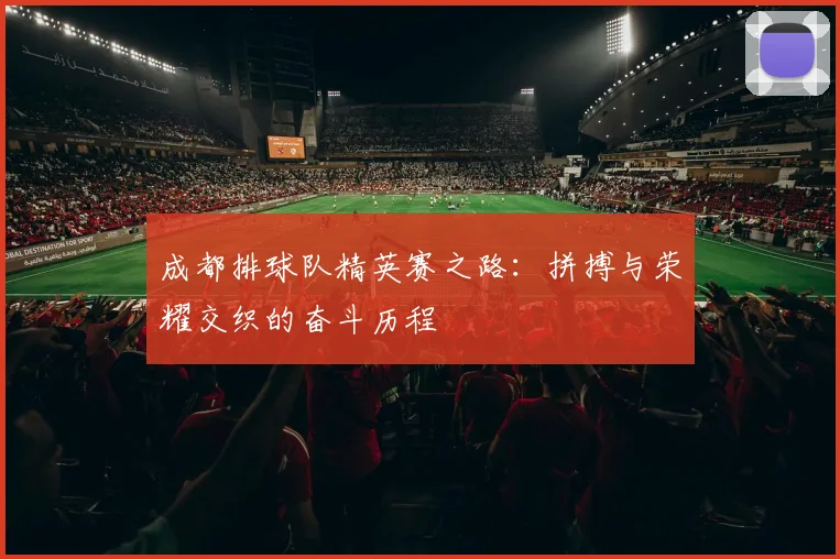 成都排球队精英赛之路：拼搏与荣耀交织的奋斗历程