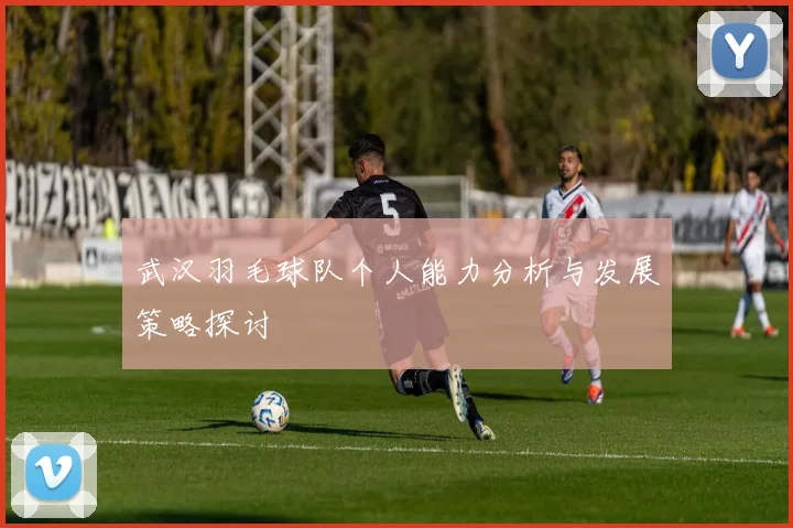 武汉羽毛球队个人能力分析与发展策略探讨