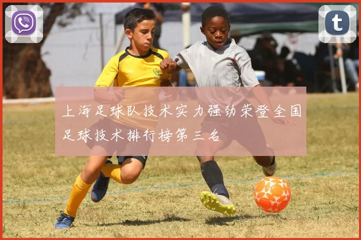 上海足球队技术实力强劲荣登全国足球技术排行榜第三名