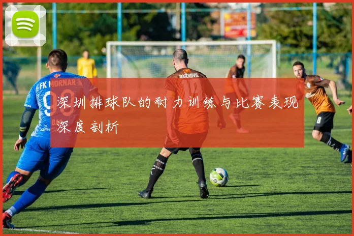 深圳排球队的耐力训练与比赛表现深度剖析