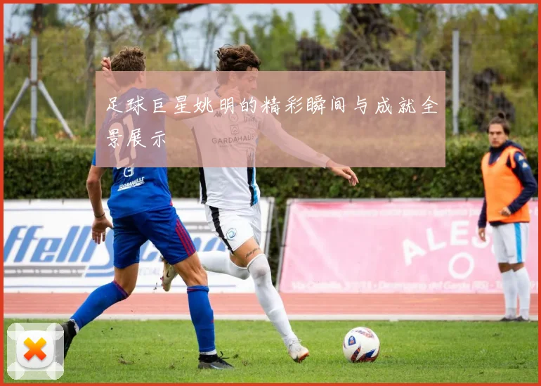 足球巨星姚明的精彩瞬间与成就全景展示