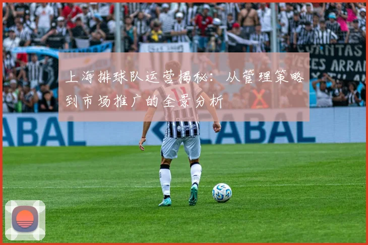 上海排球队运营揭秘：从管理策略到市场推广的全景分析