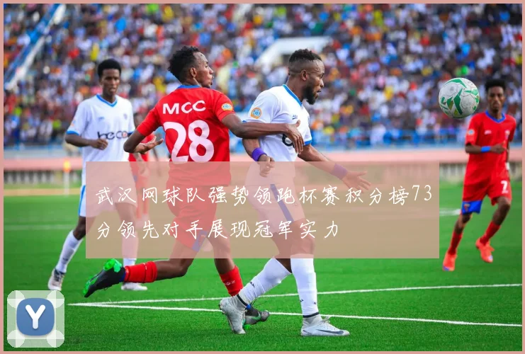 武汉网球队强势领跑杯赛积分榜73分领先对手展现冠军实力