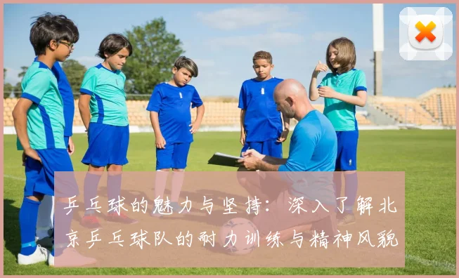乒乓球的魅力与坚持：深入了解北京乒乓球队的耐力训练与精神风貌