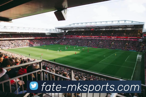 MK体育发展历程