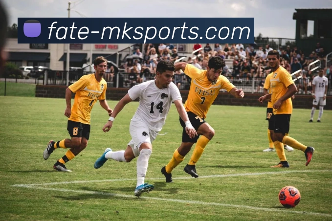 专属足球明星盘点他们的成就与影响力解析